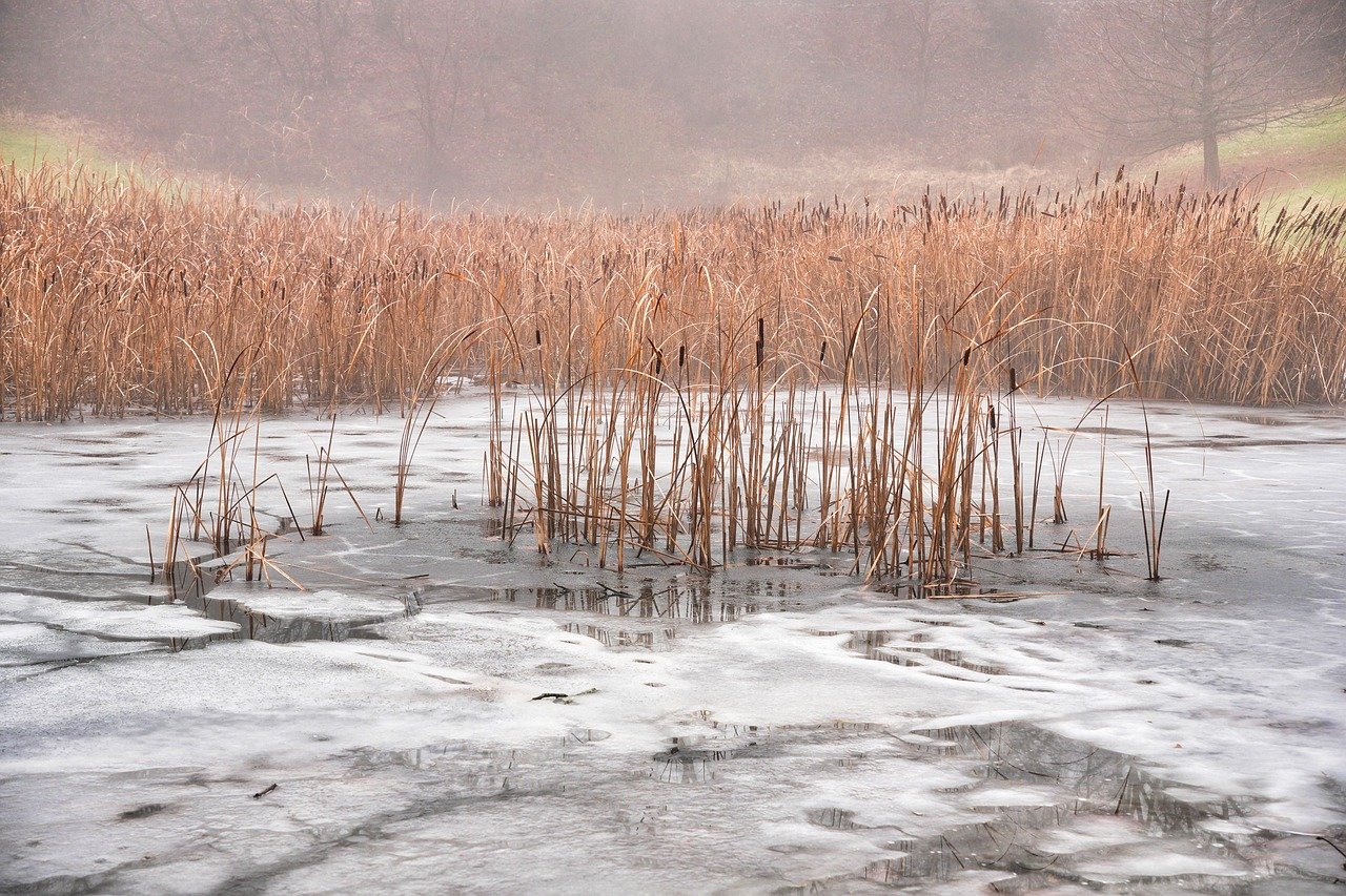 10 Ways to Celebrate Earth-Friendly Holidays
